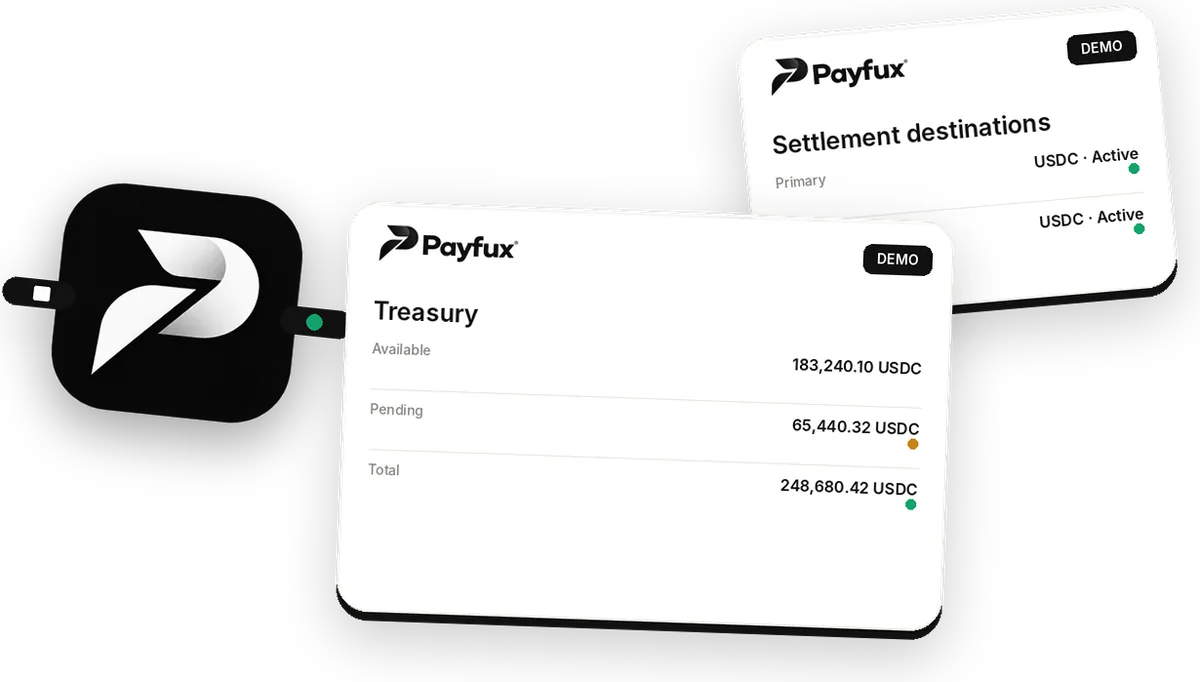 Illustrative Payfux treasury overview with demo balances and recent movement